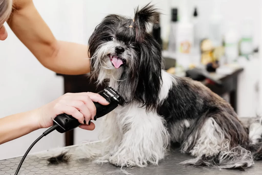 Grooming for cats and dogs